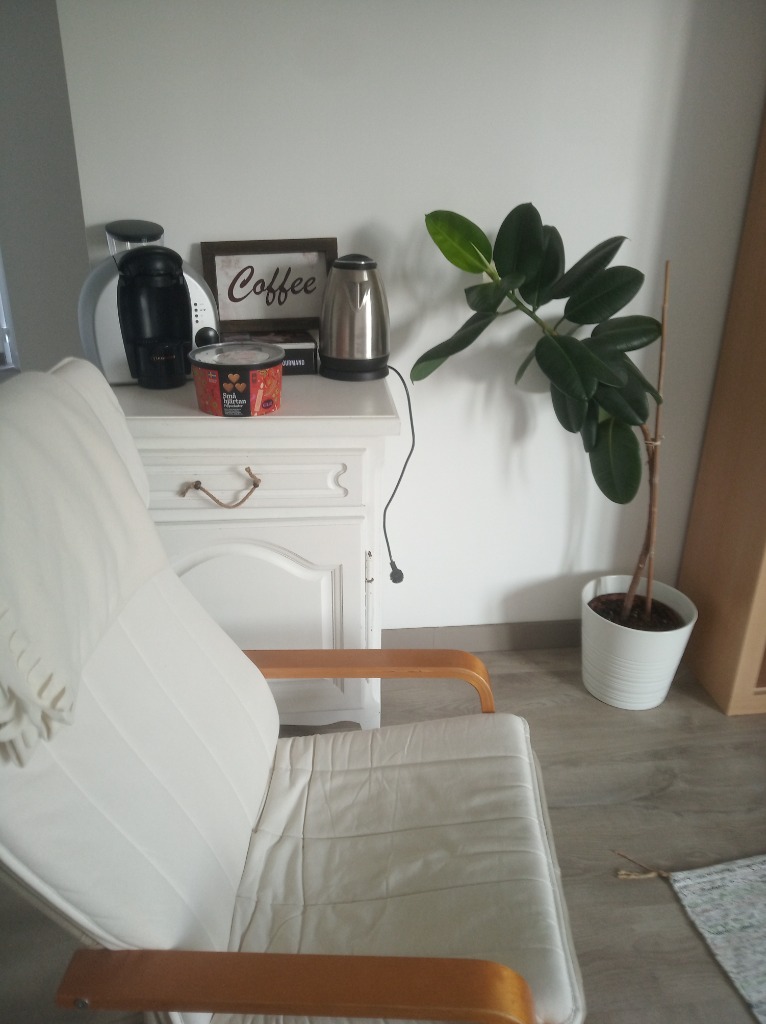 photo seance DJAOUTI NACIM