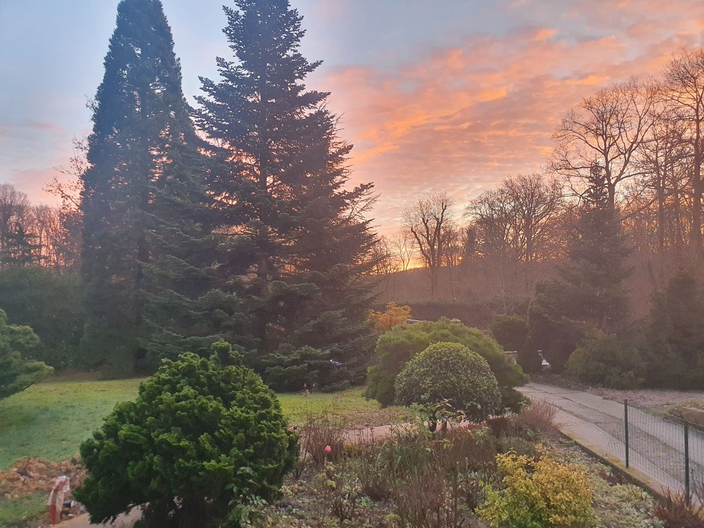 photo diplome Sabbybienetre