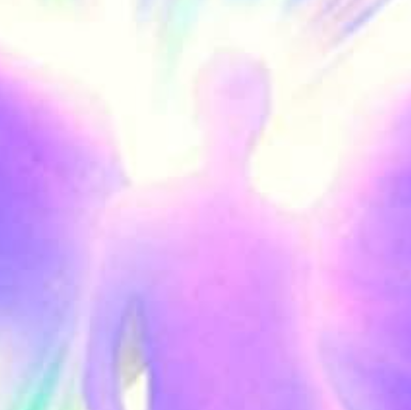 Lambert Angelique - Lotus zen