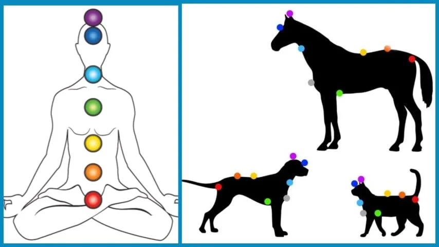 photo seance Leininger