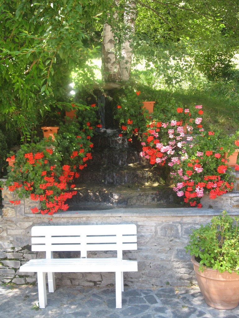 photo activite Veronique Lange