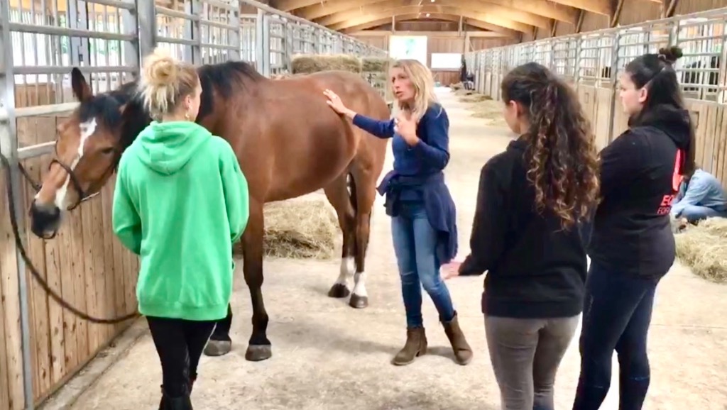 photo activite Fascia-Shiatsu Dr Marylise Pompignac (PhD)