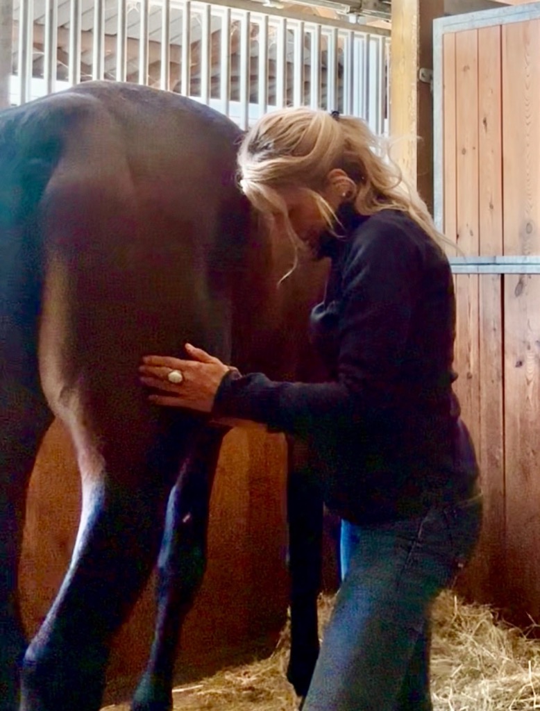 photo diplome Fascia-Shiatsu Dr Marylise Pompignac (PhD)