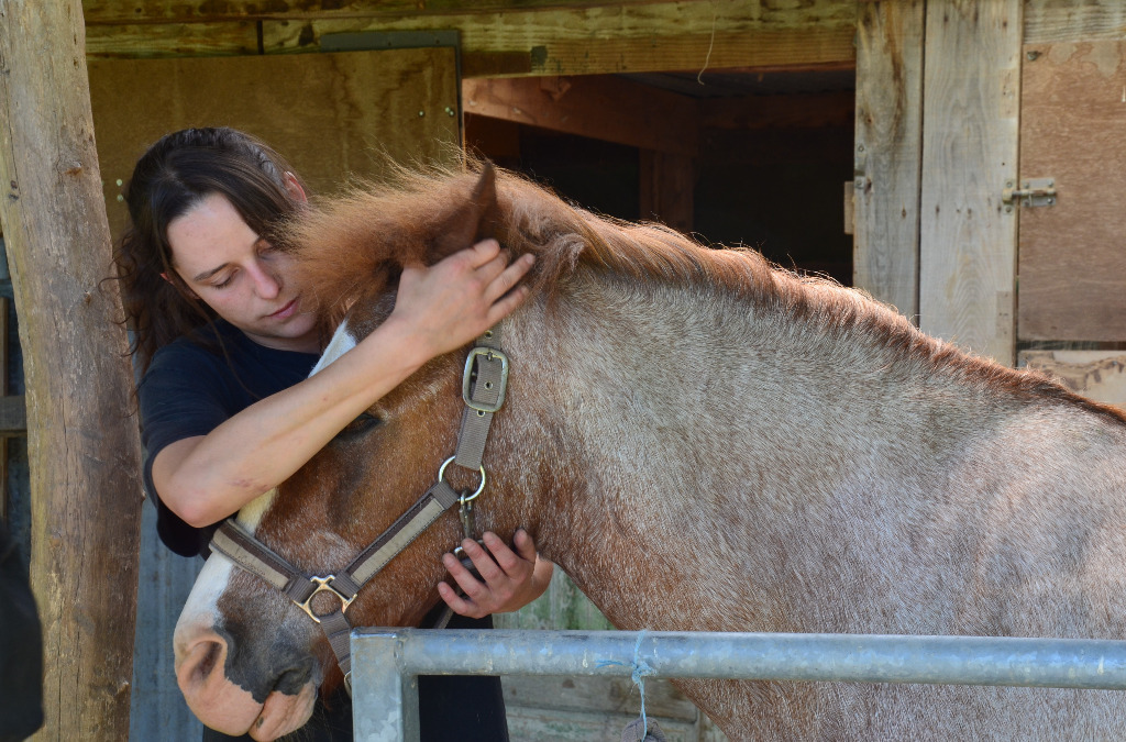 photo portrait Lisa Debock - Shiatsu Equin et Canin