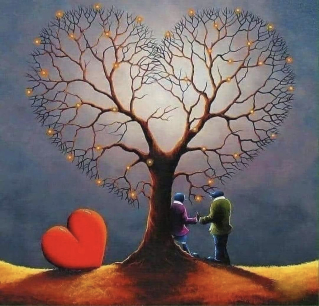 photo cabinet Aurore Alliot - Kiya Constellation