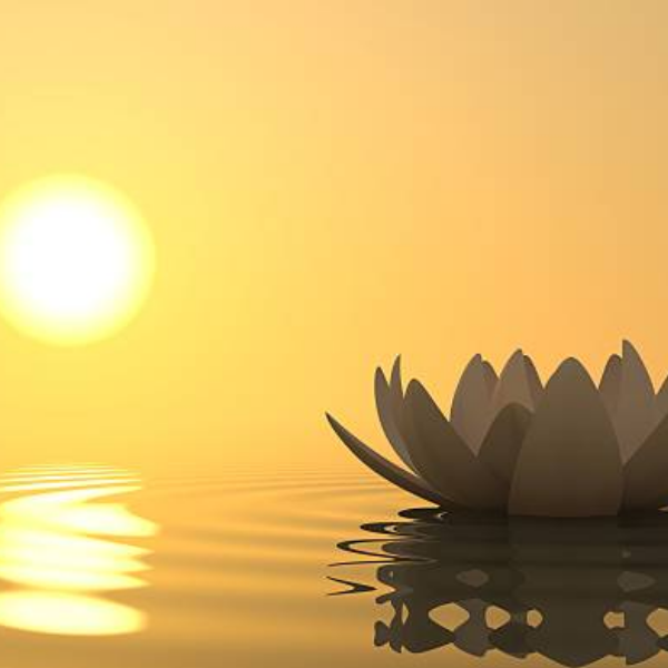 Myriam - Cheminer vers Soi