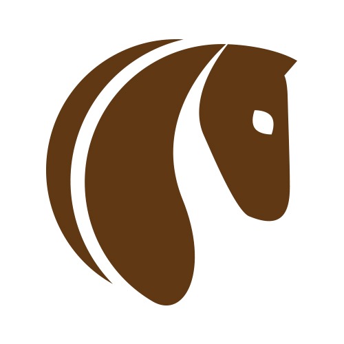 photo activite Emeline Caron