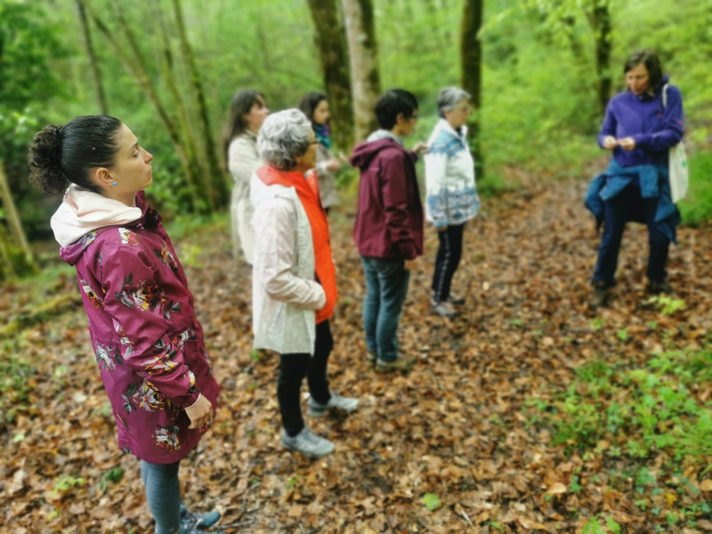 photo cabinet Charlotte Boulanger - La Santé par la Nature