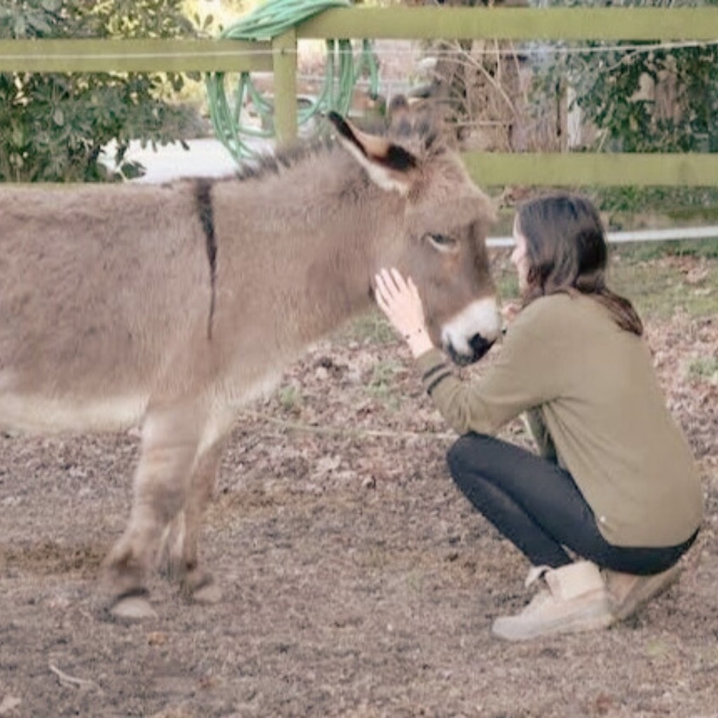 photo activite Elsa - Aucoeurdesoi 