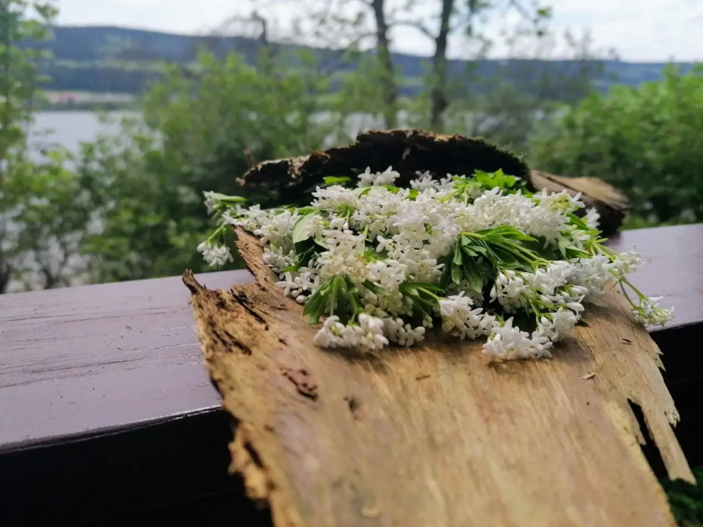 photo activite L’Humaine Essence 