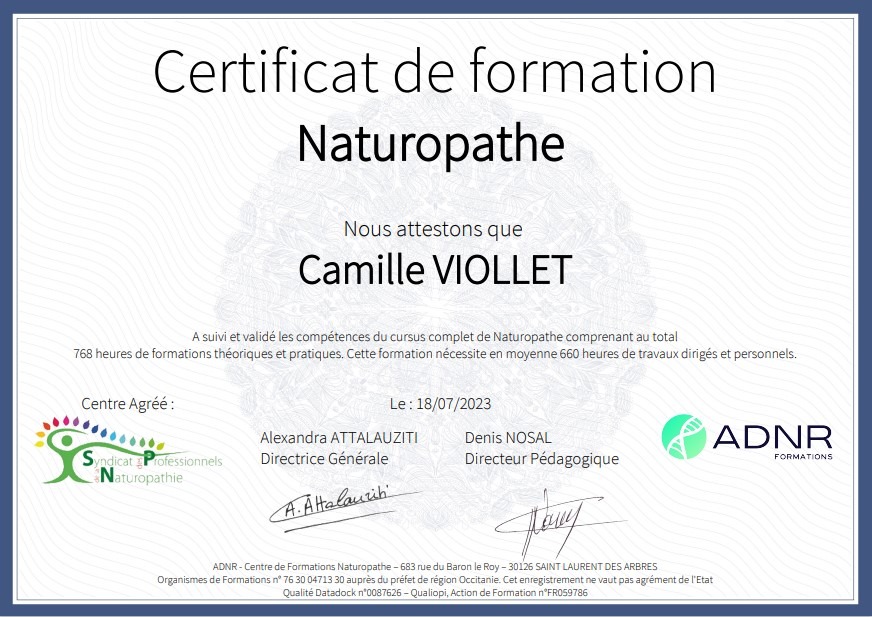 photo diplome Camille Viollet