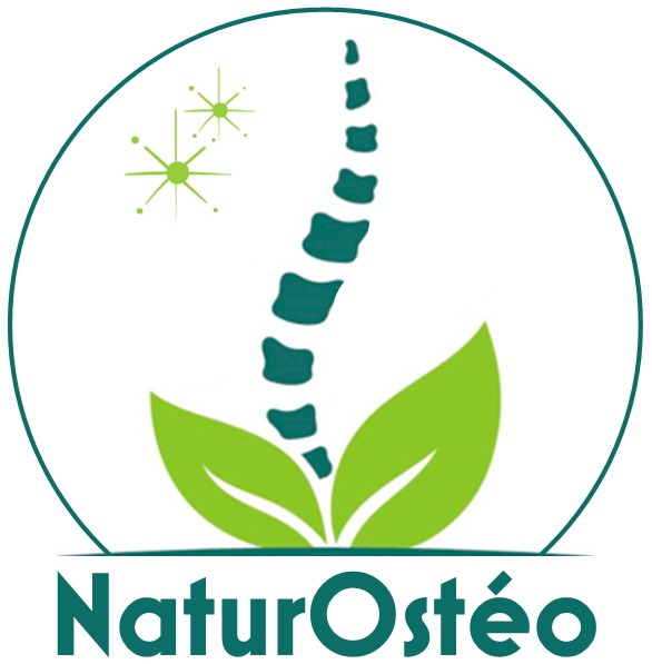 photo cabinet Cyrille CLAUS