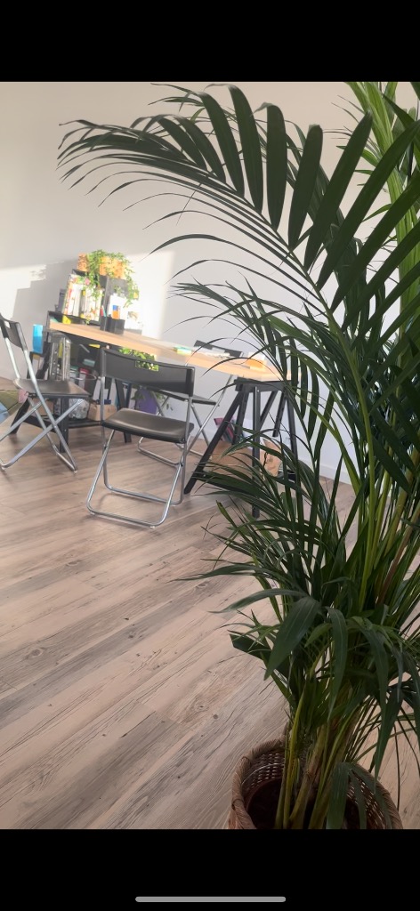 photo activite Eugénie gohory - Regener’essence