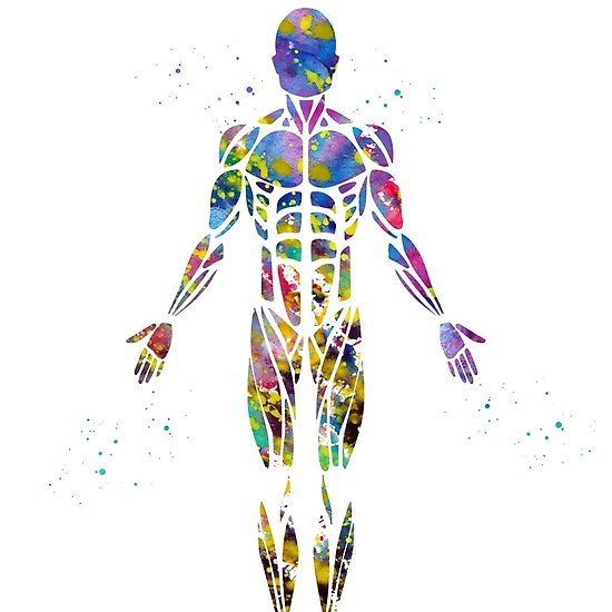 photo activite Adeline EGRET