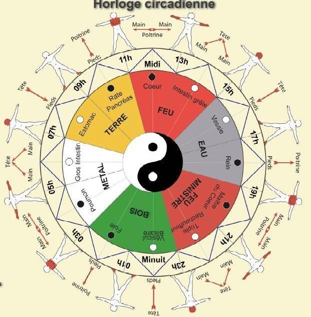 photo seance Adeline EGRET