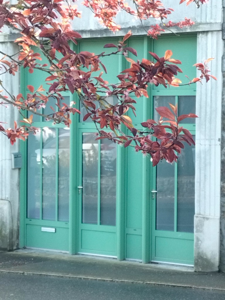 photo activite Sylvie