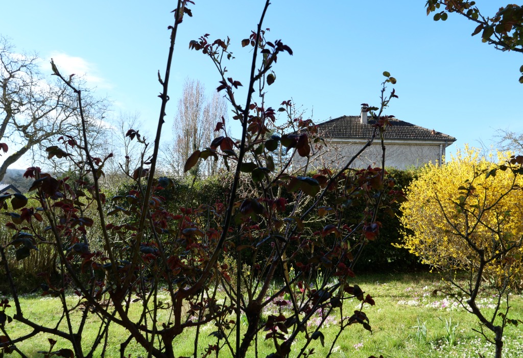 photo portrait Emmanuel Fauconnier