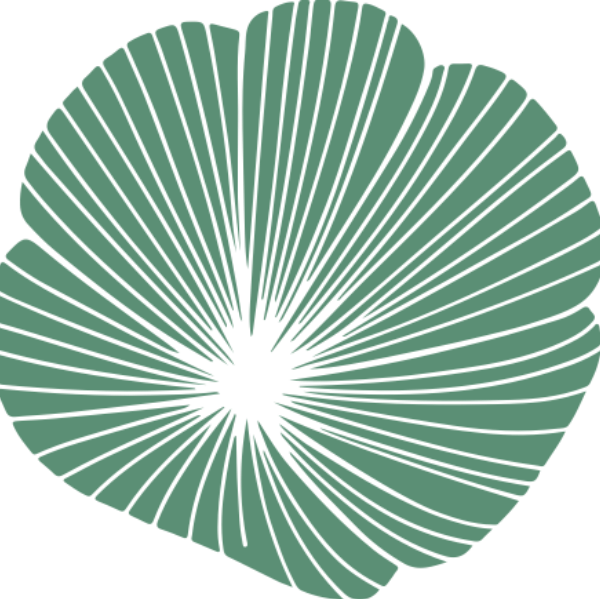 Capucine Perrin - Naturopathe