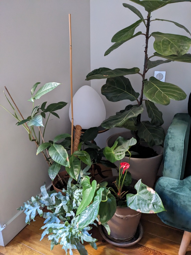 photo activite Marie lasserre