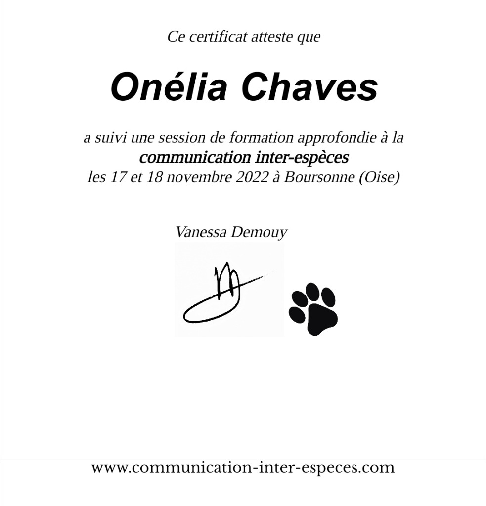 photo diplome Chaves onélia 