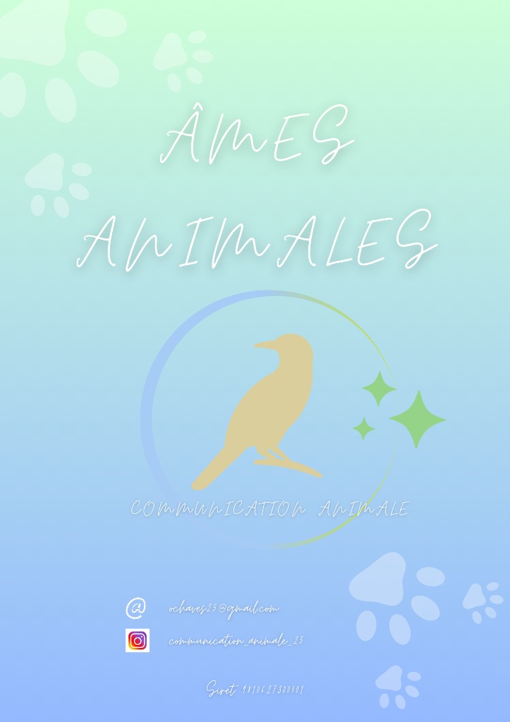 photo portrait Âmes animales