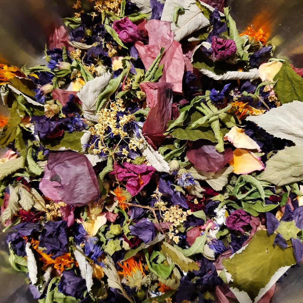 photo seance Eve Kayser