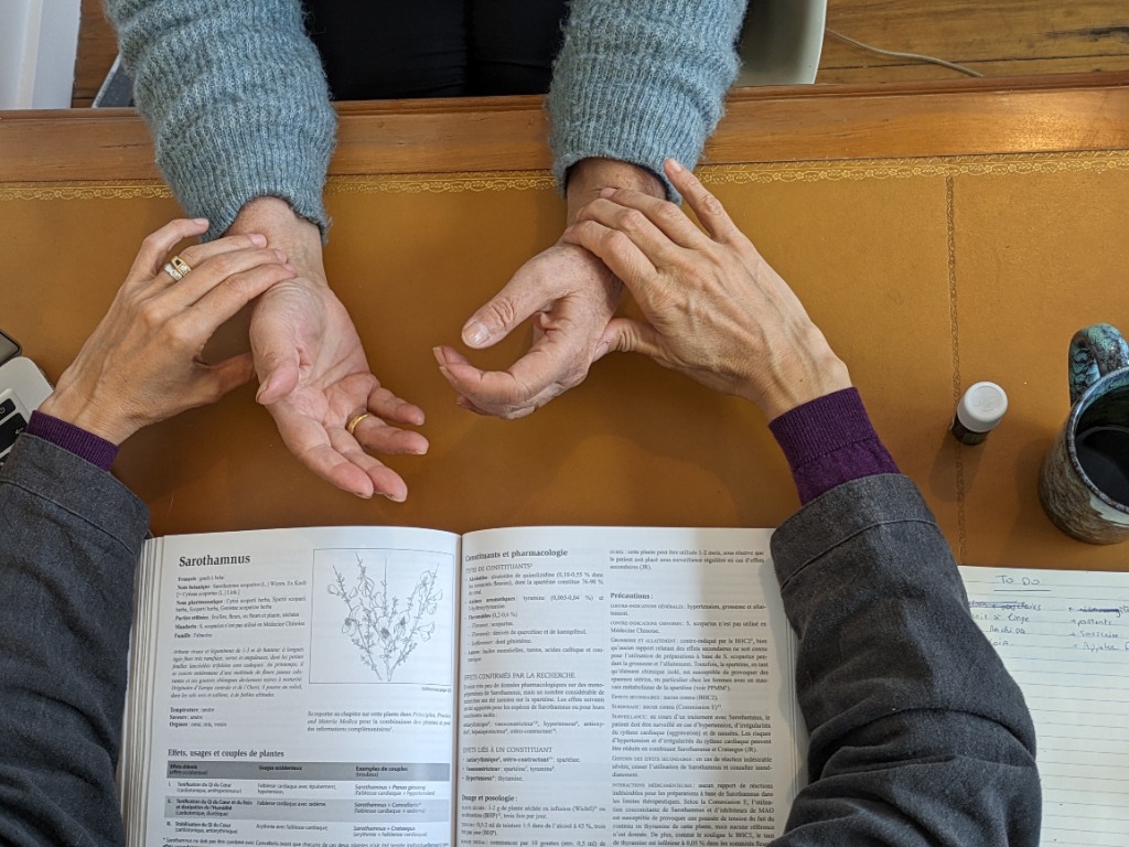 photo activite Laure boudias