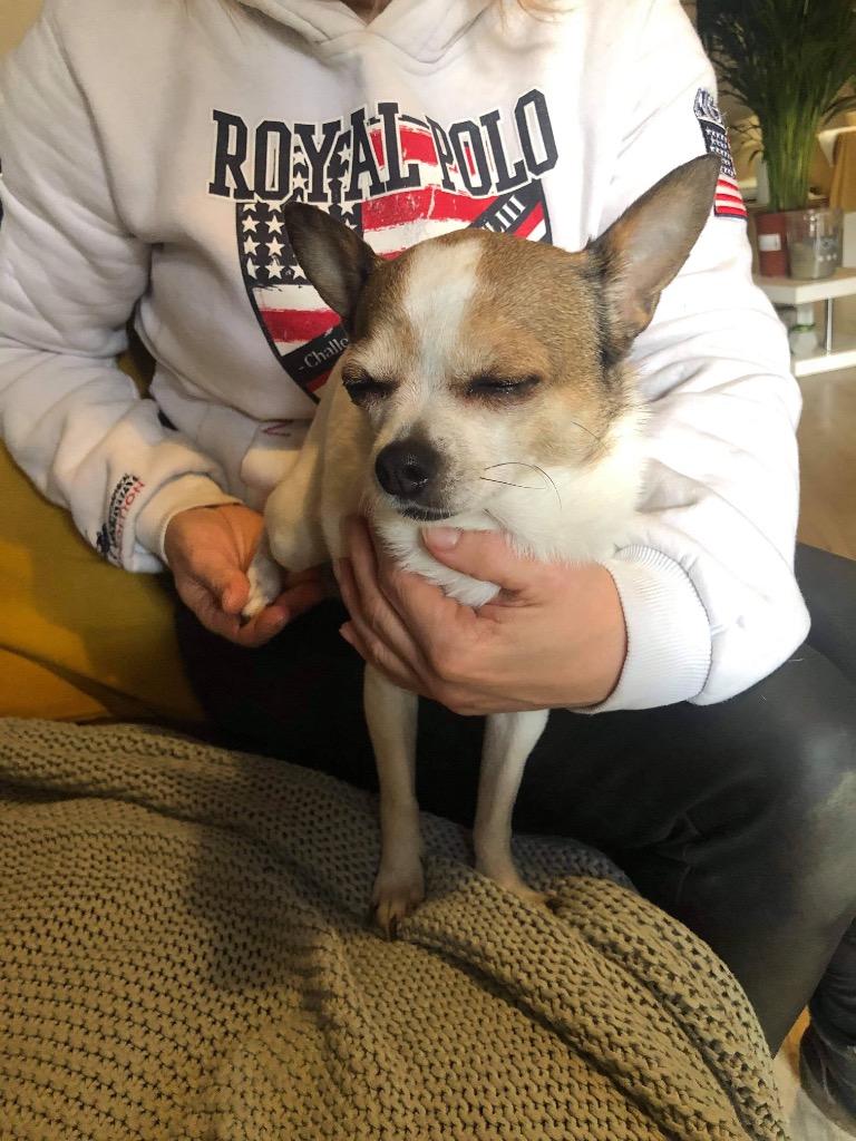 photo seance Myriam PENICAUT NATUROPATHE