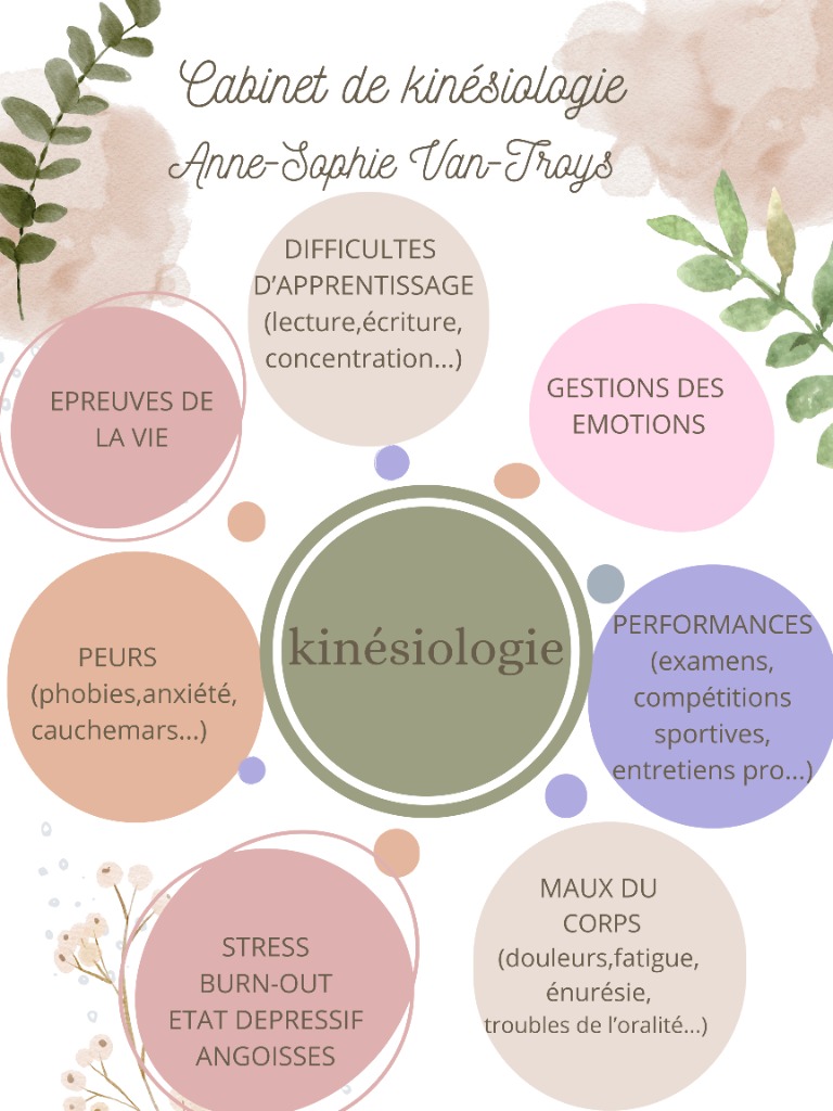 photo activite Cabinet de kinésiologie Anne-Sophie VAN-TROYS