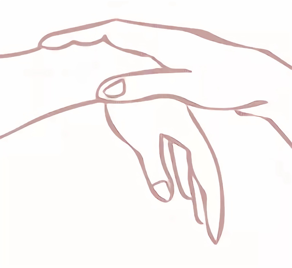 photo activite Laurine brignano