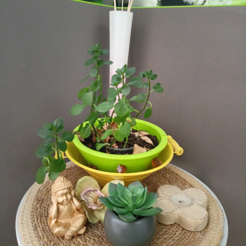 photo cabinet LES CINQ SENS