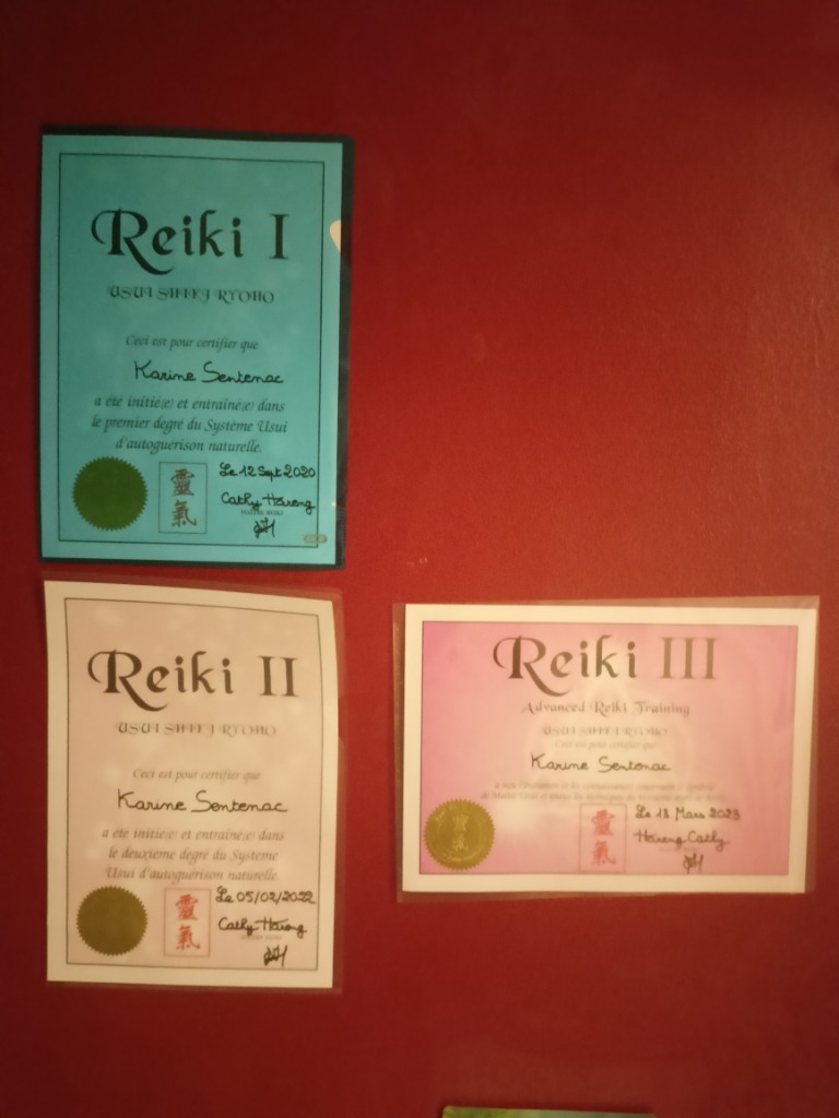 photo diplome LES CINQ SENS