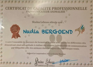 photo seance Nadia Bergoënd