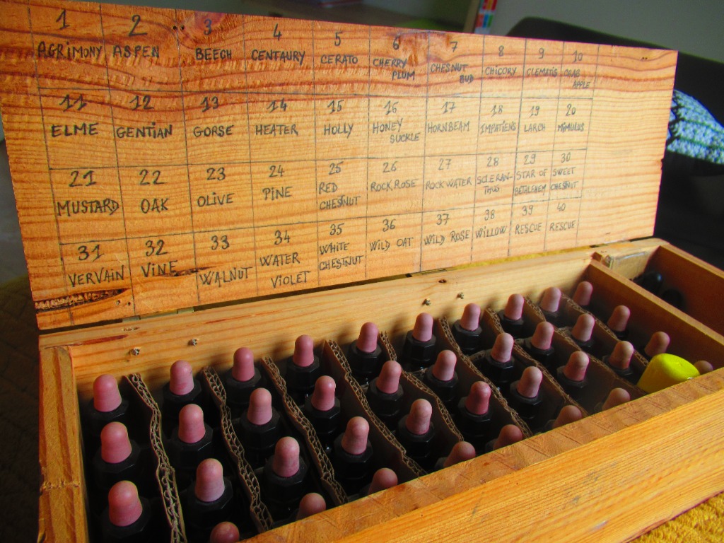 photo activite Amélie Egon