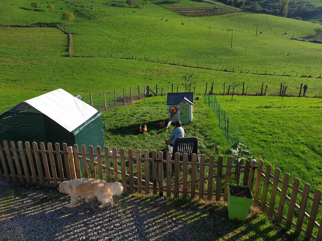 photo activite Marie Dumas 