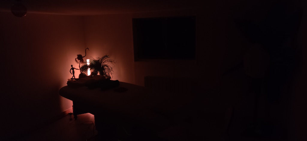 photo activite Alain Patrick massage