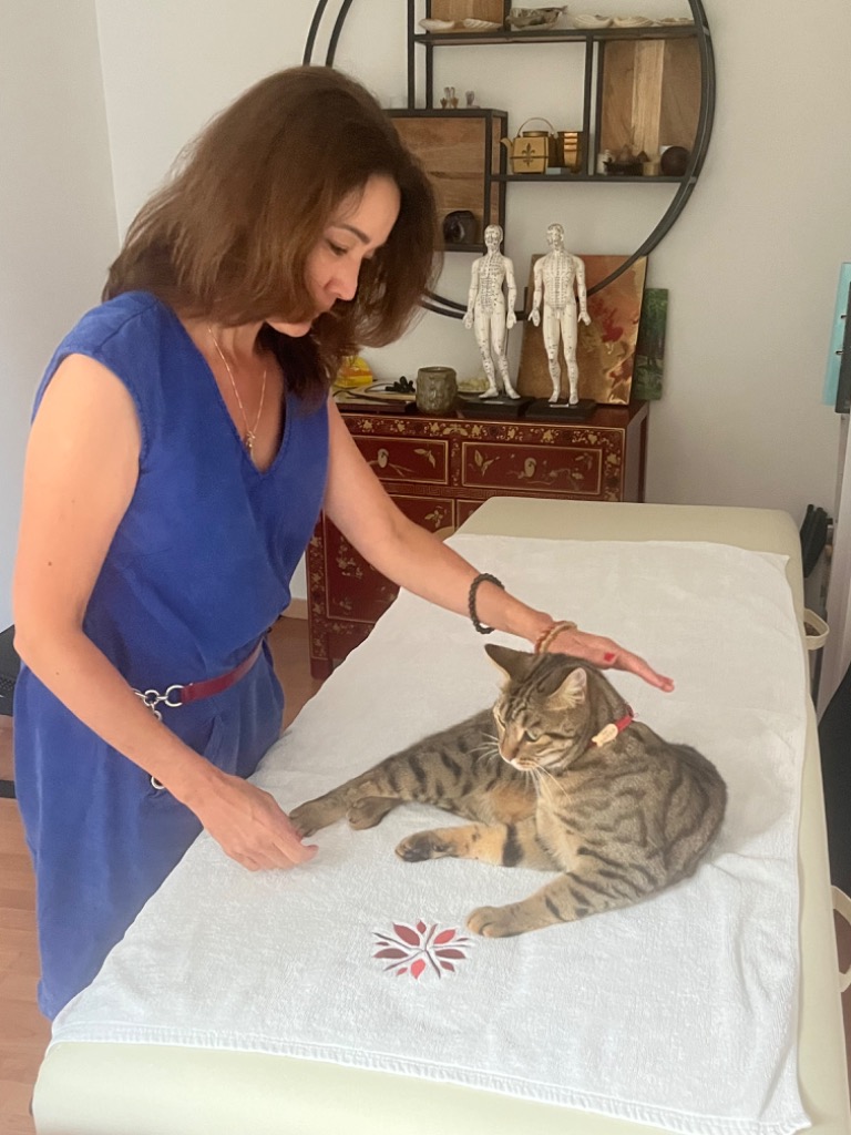 photo diplome Energy Healing Monteyne