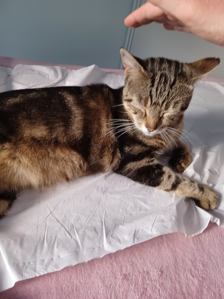 photo seance Valérie hanzo