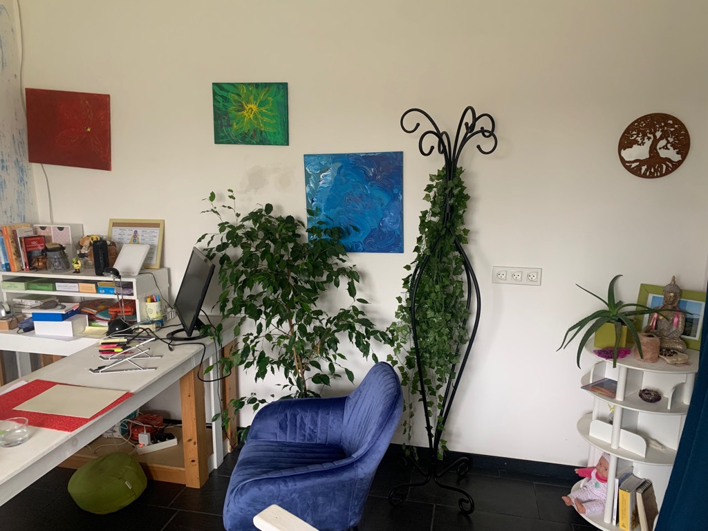 photo cabinet ANNIE ROQUES