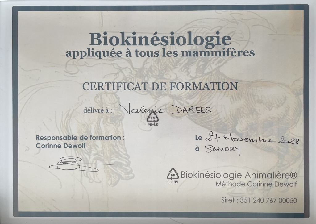 photo diplome Valérie darees