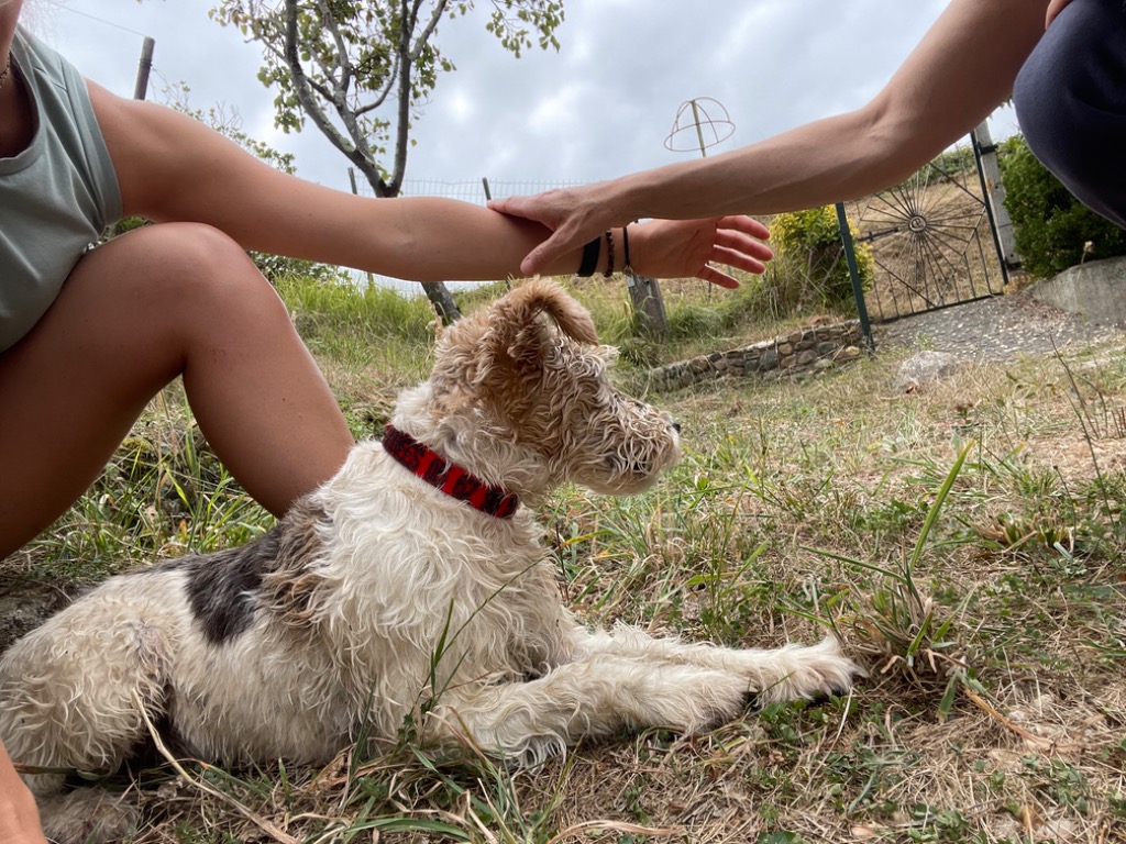 photo seance Valérie darees