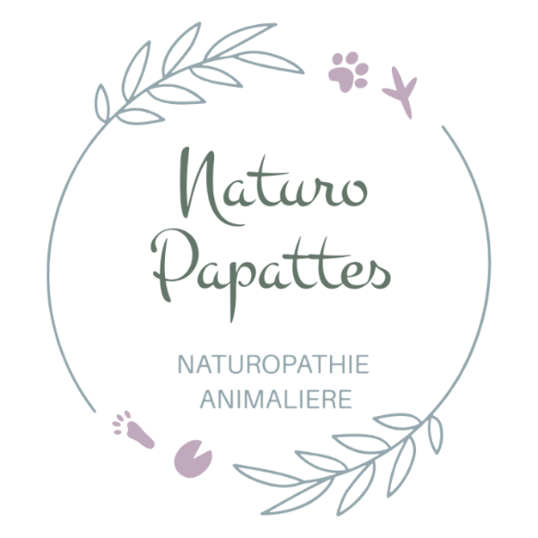 NaturoPapattes