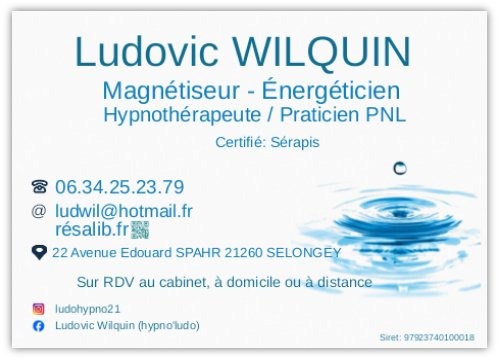 photo activite Ludovic Da Silva-Wilquin