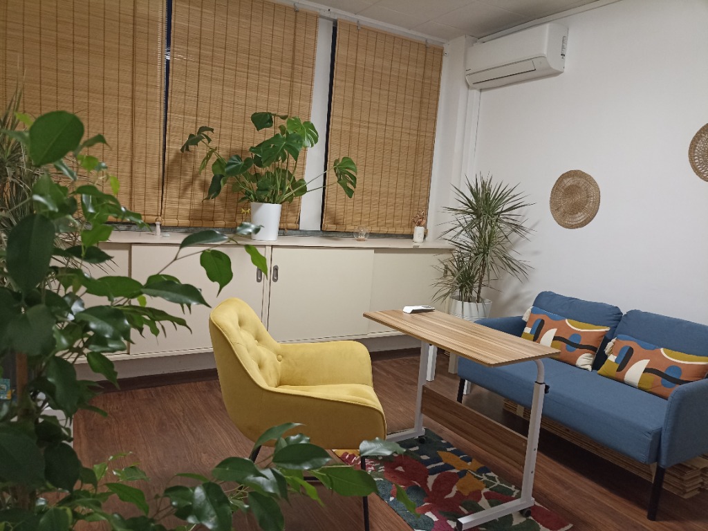 photo cabinet Mihaela BAHU GAMERRE