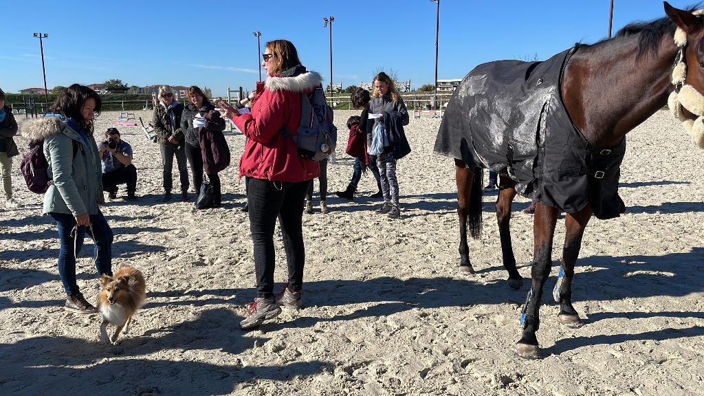 photo activite Shaina Lebeau