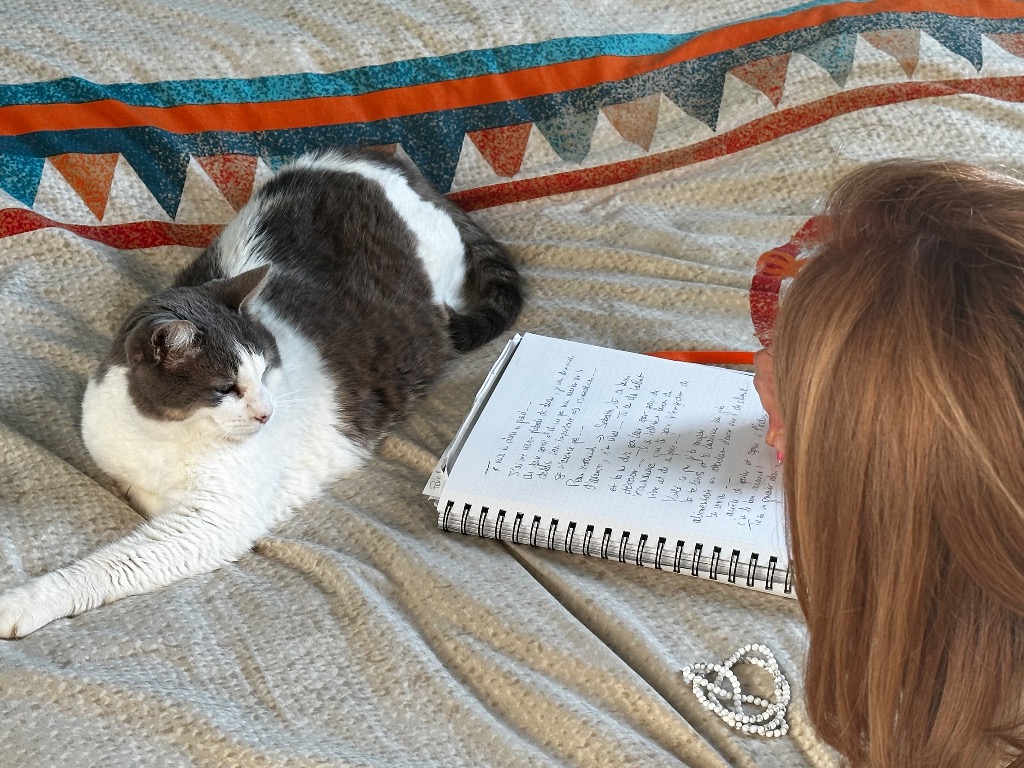 photo cabinet Shaina Lebeau