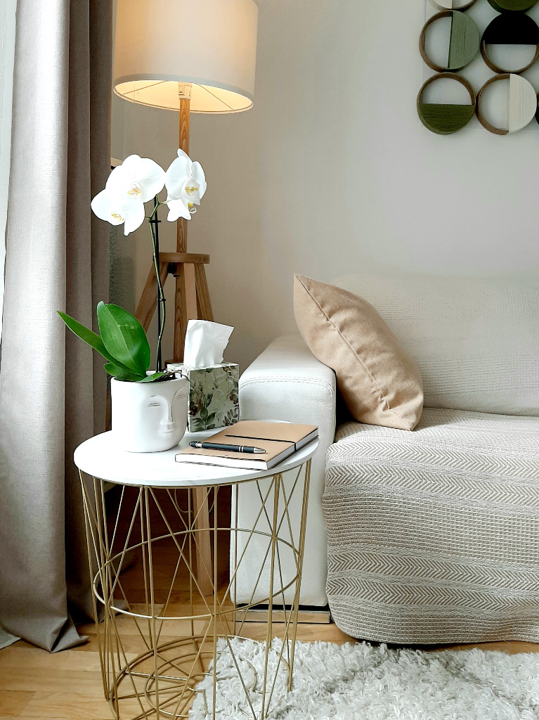 photo cabinet Anne Sophie Zannetti