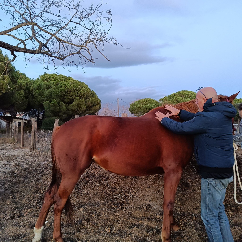 photo portrait DAVID CASANOVA