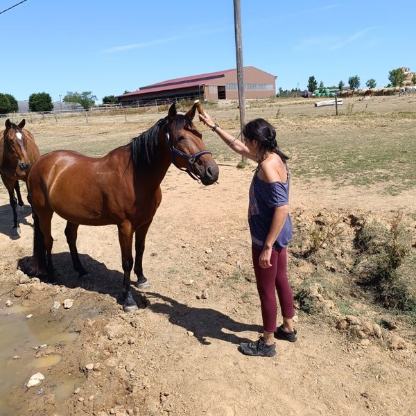photo activite Amandine SOYEZ - LIBERT’AME - Patricienne L3C