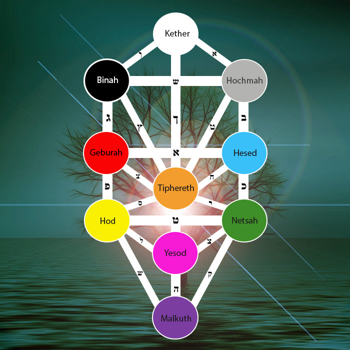 photo activite Anne Gauthier